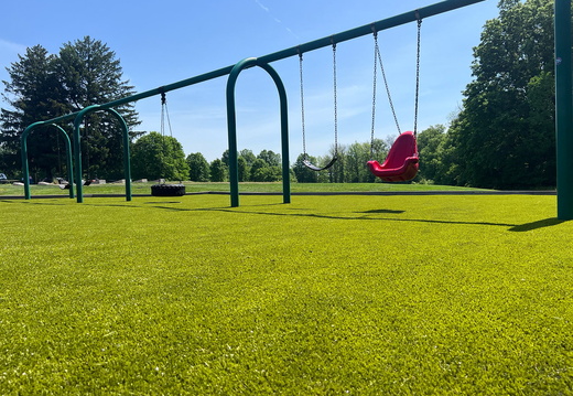Playground Grass
